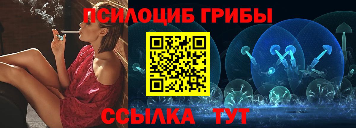 Псилоцибиновые грибы Cubensis  Псилоцибиновые грибы Psilocybine cubensis  Шарыпово  Вход с VPN 
